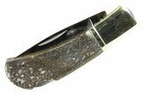 Pocket Knife With Fossil Dinosaur Bone (Gembone) Inlays #337592-1